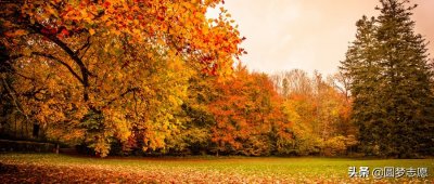 ​2020既招一本又招二本的大学？共计32所！附录取分数线