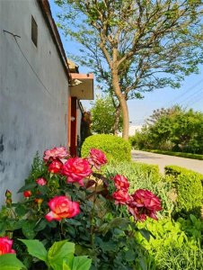 ​婆婆给8月娃灌白酒？年轻夫妻离婚协议爆火！多少婚姻毁于为你好