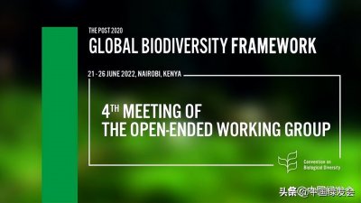 ​《生物多样性公约》：各国政府推进全球生物多样性协定文本