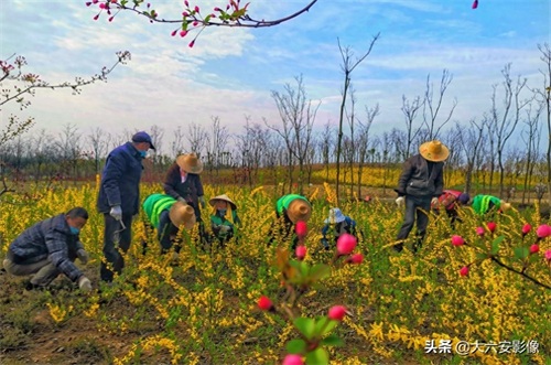 20幅春天摄影作品欣赏，满眼姹紫嫣红，美女楚楚动人