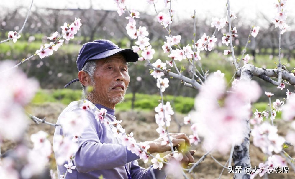 20幅春天摄影作品欣赏，满眼姹紫嫣红，美女楚楚动人