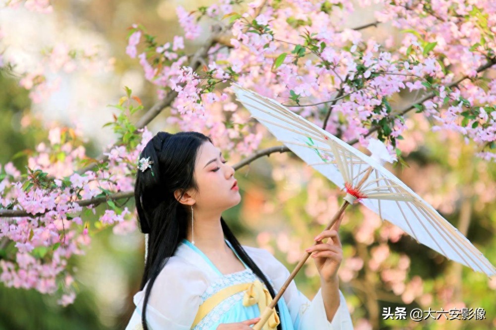 20幅春天摄影作品欣赏，满眼姹紫嫣红，美女楚楚动人