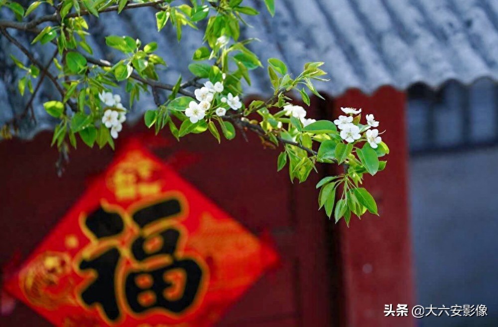 20幅春天摄影作品欣赏，满眼姹紫嫣红，美女楚楚动人