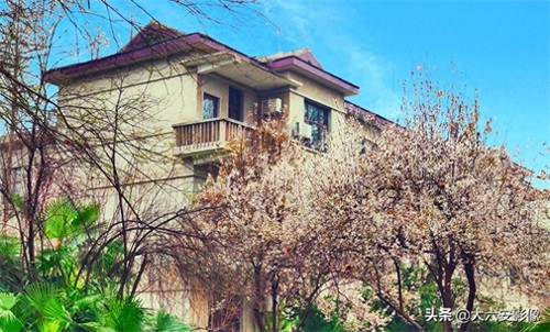 20幅春天摄影作品欣赏，满眼姹紫嫣红，美女楚楚动人