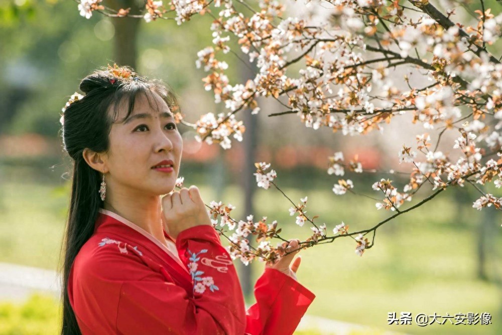 20幅春天摄影作品欣赏，满眼姹紫嫣红，美女楚楚动人