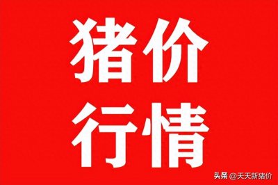 ​猪价突变！牛气冲天！多地破8！2024.1.27 全国各地生猪价格信息！