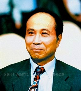 ​大s的后台，她的干爹杨登魁，暗恋过大s，帮李连杰摆平过仇家