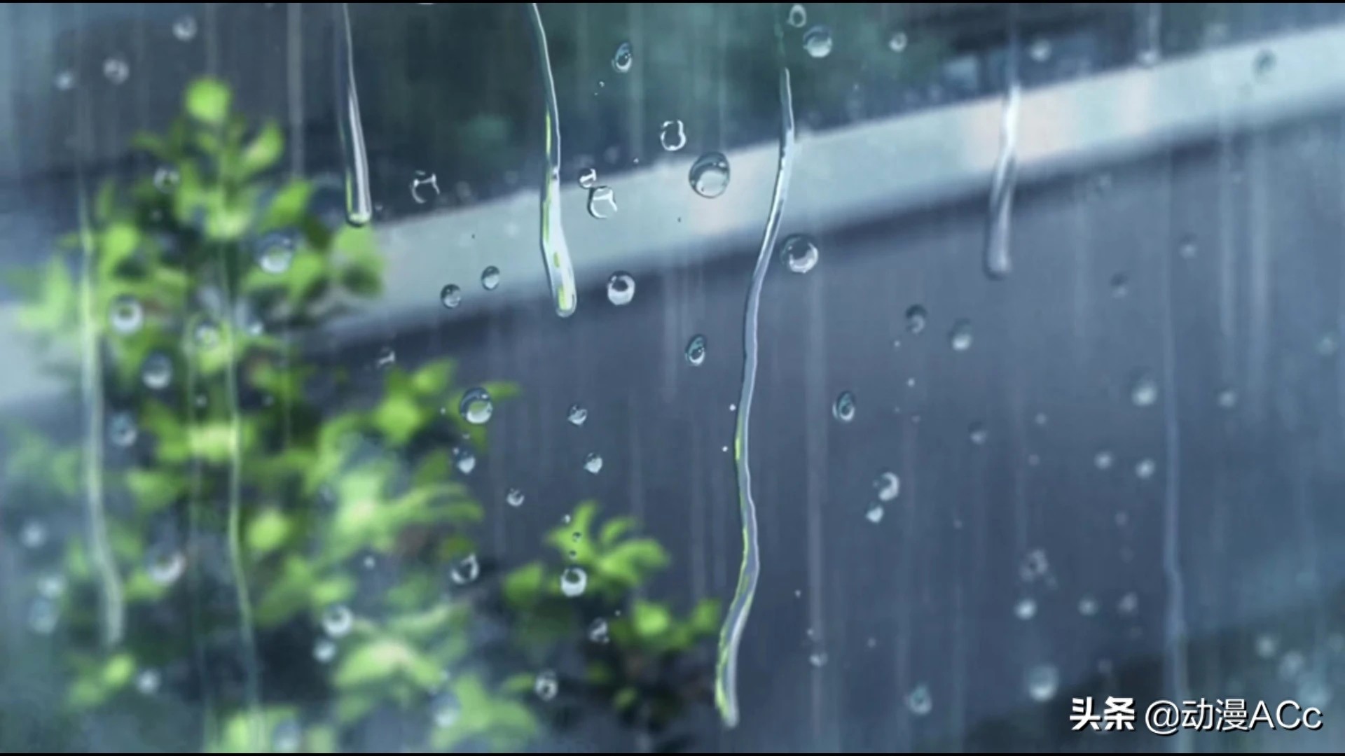 《言叶之庭》唯美壁纸来了，无可挑剔