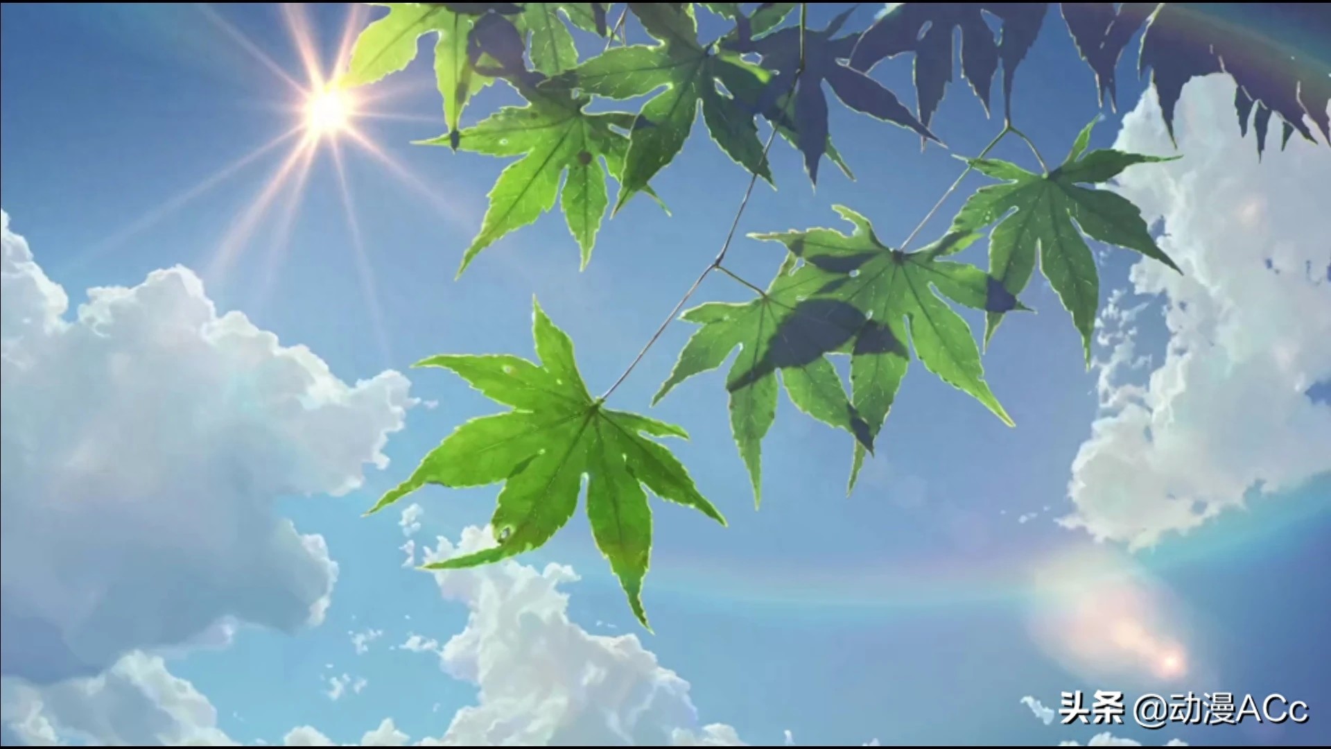 《言叶之庭》唯美壁纸来了，无可挑剔