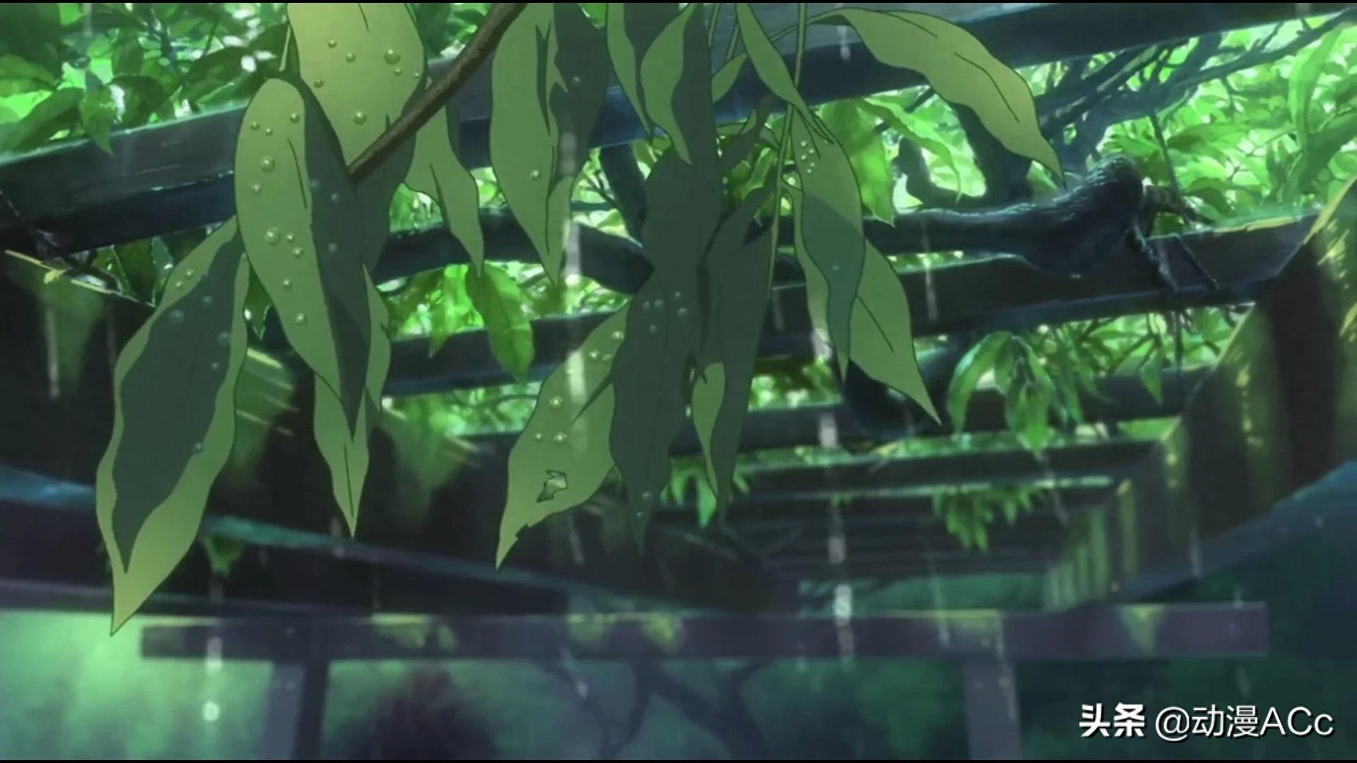 《言叶之庭》唯美壁纸来了，无可挑剔