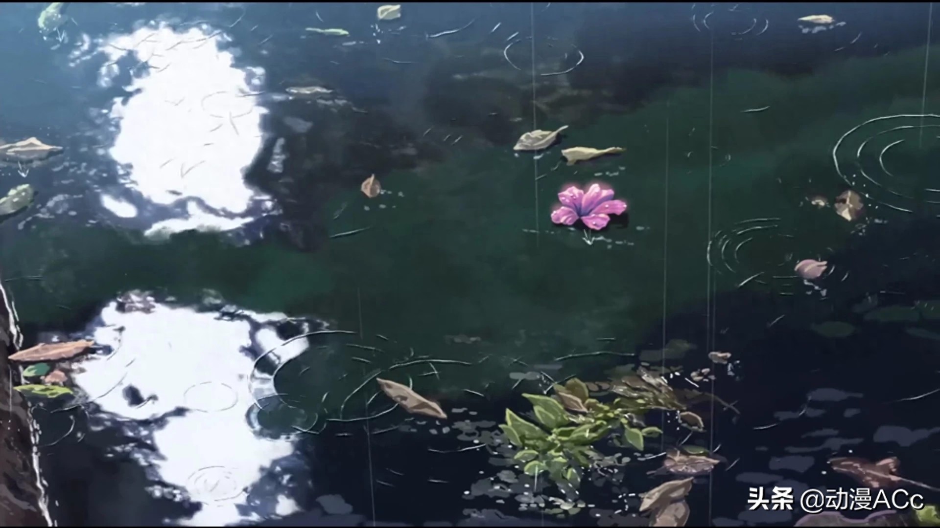 《言叶之庭》唯美壁纸来了，无可挑剔