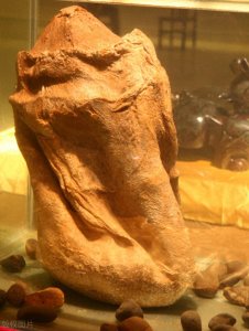 ​《山海经》中的奇邦异国（六）青丘国的九尾狐，闲不住的劳民国