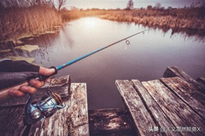 ​秋夜秘钓：湖北泥鳅钓翘嘴的秘密