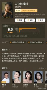 ​2024年豆瓣评分最高的十部国产好剧