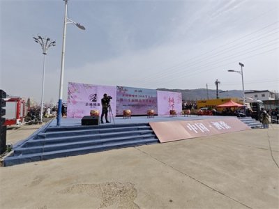 ​乡村好时节·泗水赏花汇暨第二十届桃花节开幕