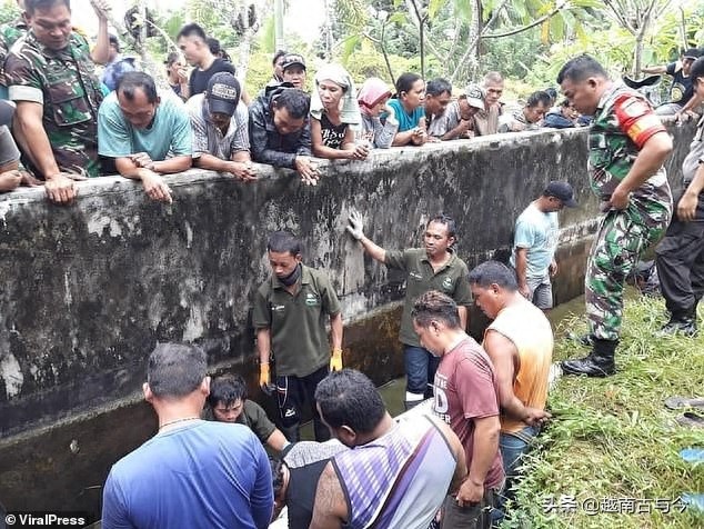 印尼女科学家喂5米鳄鱼，一不小心掉下鳄鱼池，最终惨死鳄鱼口中