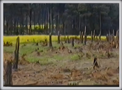 ​1.中国UFO事件：关于上海螺旋状不明飞行物的猜想