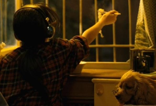 狗十三的鸟叫是什么意思