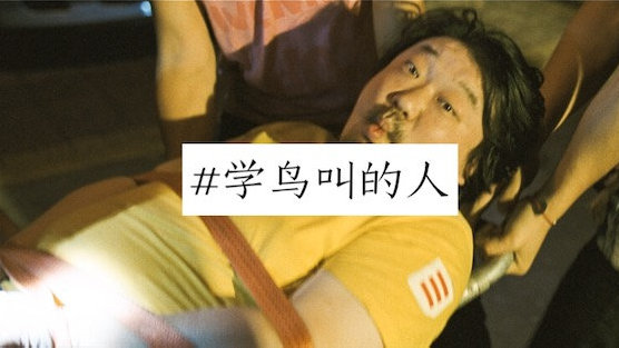 狗十三的鸟叫是什么意思