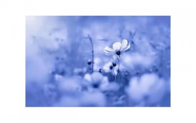 ​女孩嫌你管得宽怎么办？女孩嫌你管得宽是什么意思