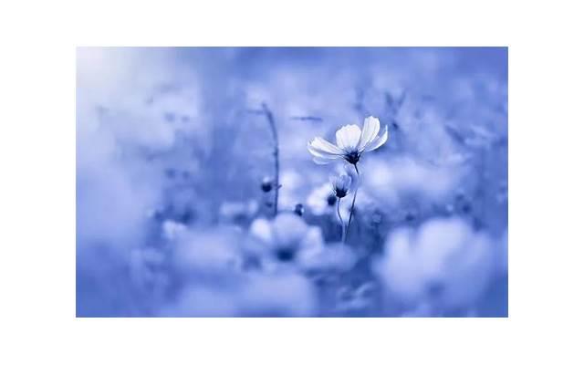 女孩嫌你管得宽怎么办？女孩嫌你管得宽是什么意思