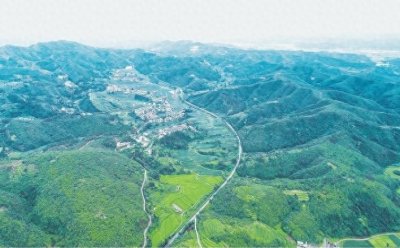 ​牟定县扎实推动绿色产业发展