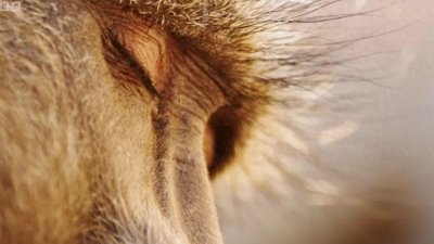 ​史上豆瓣最高分：9.8分神作回归！