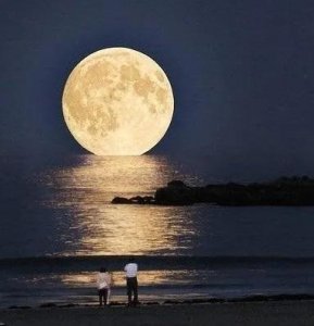 ​《旧时月色》