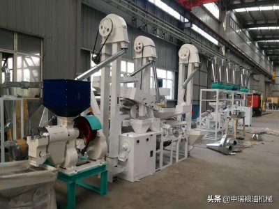 ​新型去石碾米机多少钱一台