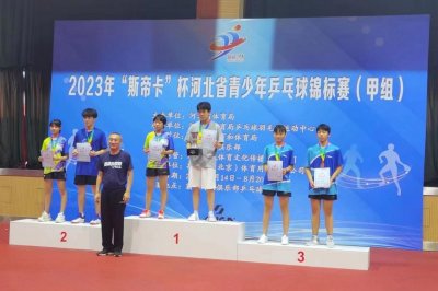 ​辛集中学在河北省锦标赛中勇创佳绩