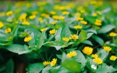 ​说文解字|风乎舞雩