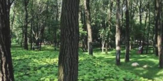 现实中怎么确认东南西北,在实际生活中该怎么分辨东南西北各个方向?图6