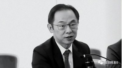 ​华为丁耘谈业务（华为倒下的不止一个少帅丁耘）