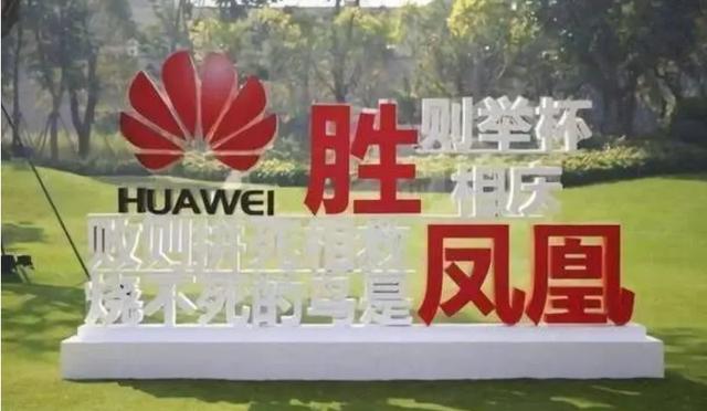 华为丁耘谈业务（华为倒下的不止一个少帅丁耘）(8)