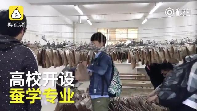 大学里的冷门专业有哪些（这些专业你们学校有吗）(8)