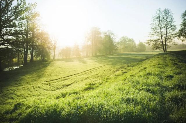 大学里的冷门专业有哪些（这些专业你们学校有吗）(10)