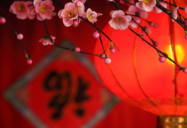 关于除夕的诗词十首（诗词鉴赏最美除夕夜）(9)