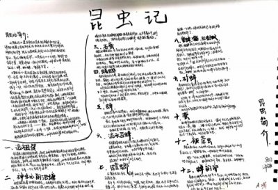 ​《昆虫记》思维导图（二）