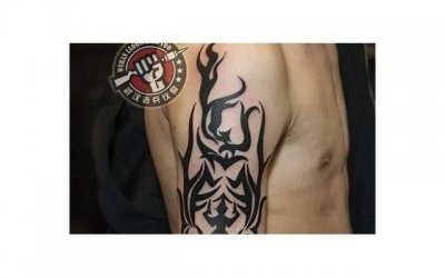 ​开门见山歌词（这首熟悉的歌词背后）