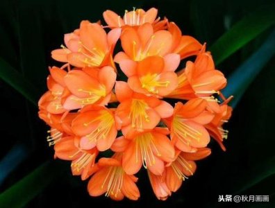 ​一起来绘画：用针管笔，画出好看的线描画