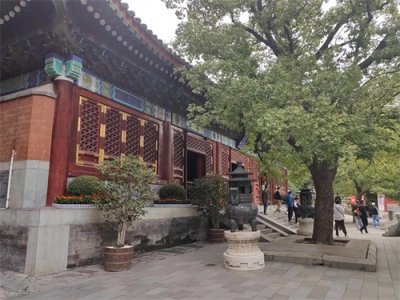 ​2024年9月30日游览北京香山公园，门票10元，物超所值，值得一去