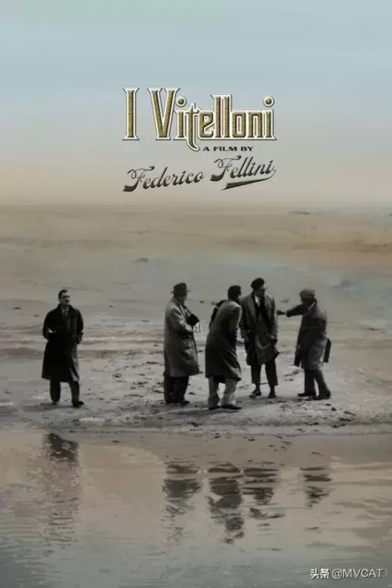 好看的小众文艺电影有哪些（24部经典小众文艺片推荐）