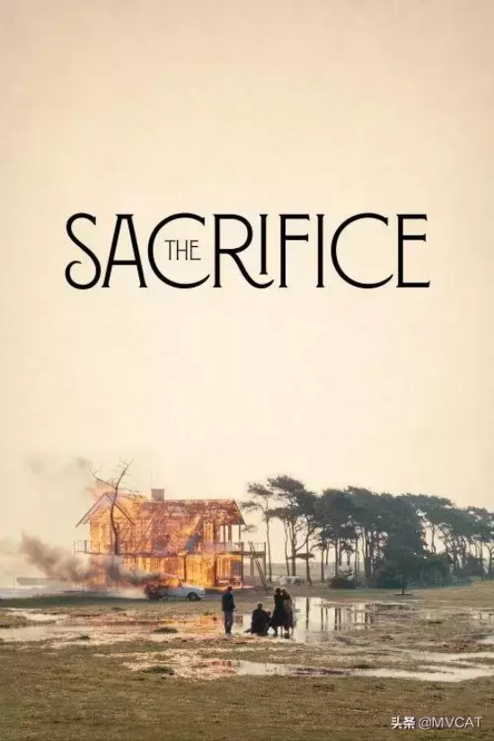 好看的小众文艺电影有哪些（24部经典小众文艺片推荐）