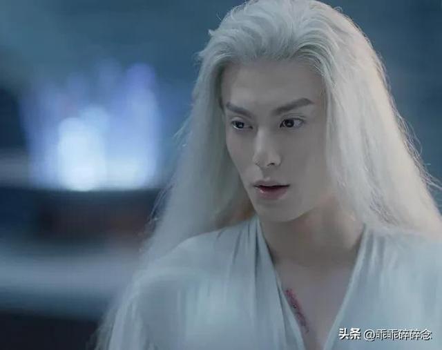 王鹤棣个人简介(认识与王鹤棣合作过的所有女主)(4)